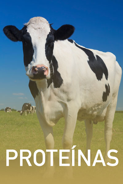 proteinas